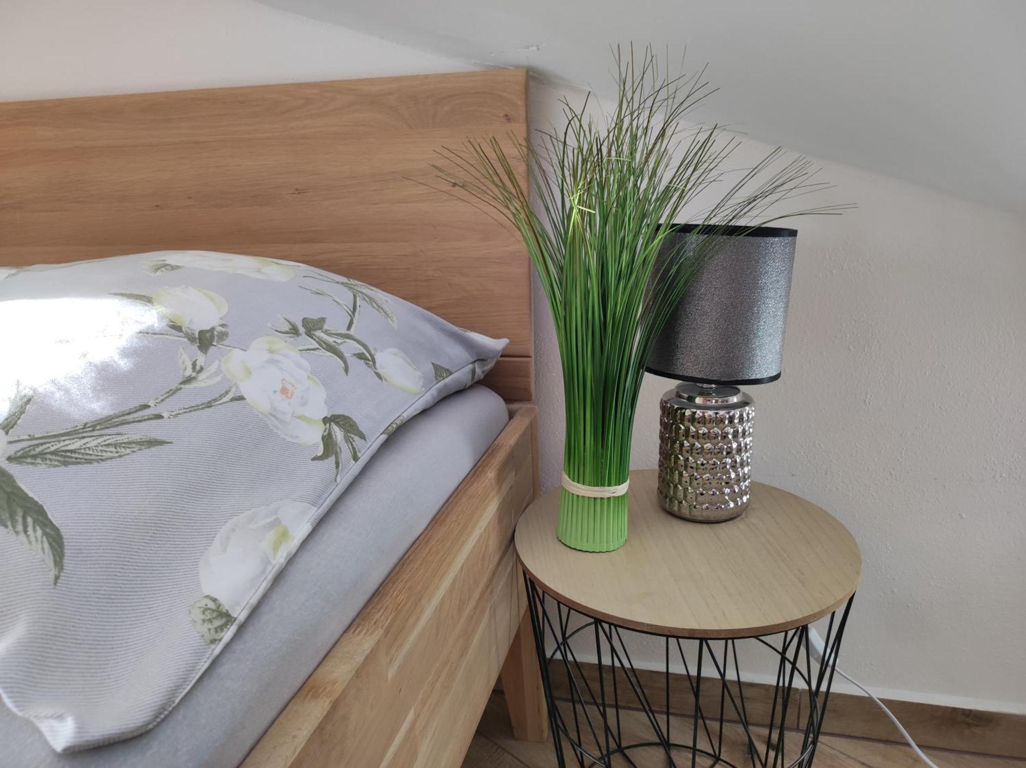 Wellness Luxury Apartment Plzeň Exteriér fotografie