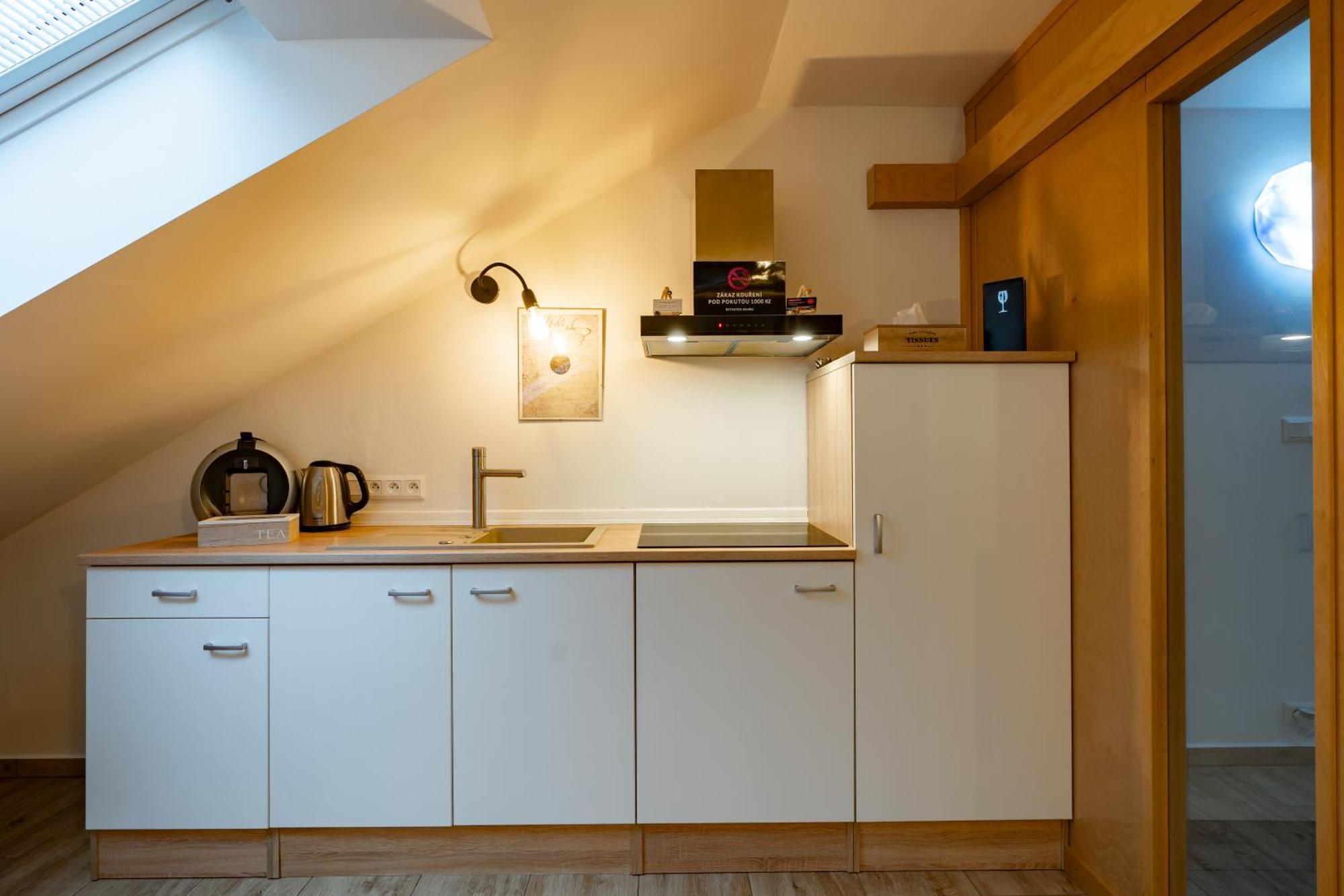 Wellness Luxury Apartment Plzeň Exteriér fotografie